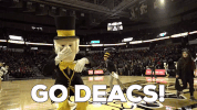 wake forest wfu GIF
