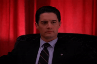 Season 2 Episode 22 GIF by Twin Peaks on Showtime