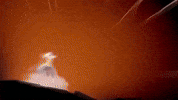 Horse Explode GIF