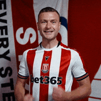StokeCityFC celebration goal gibson stoke GIF