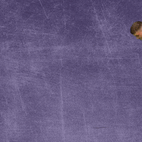 Kdub GIF by KWC Panthers