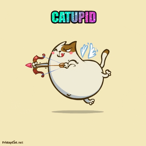 Catgifcollection giphygifmaker cat animation cats GIF