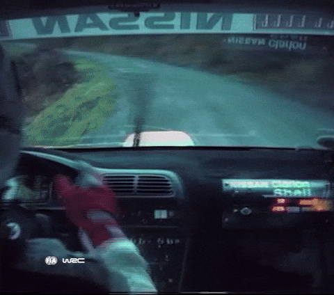 Car Crash Motorsport GIF by FIA World Rally Championship