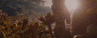 Marvel Studios GIF