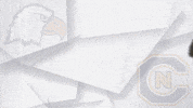Cnfb19 Marcuswilliams GIF by Carson-Newman Athletics