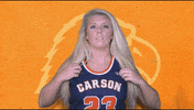 Cnwb19 GIF by Carson-Newman Athletics