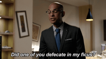 GIF by makinghistory