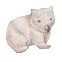 littleraeprints art artist australia aussie Sticker