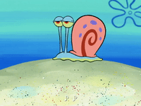 season 6 pet or pets GIF by SpongeBob SquarePants