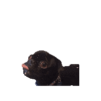 Feed Me Please Sticker