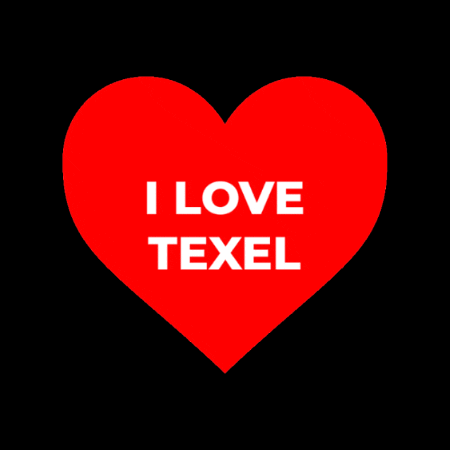 I Love Texel GIF by VVV Texel