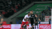 jhon cordoba soccer GIF by 1. FC Köln