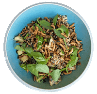 Scrambled Egg Food Sticker by foodbabyny