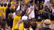 celebrate nick young GIF by NBA