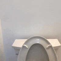 Shitter's Full