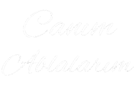 Abi Aile Sticker