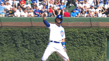 Celebration Baseball GIF by Marquee Sports Network