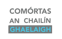 Gaa Lgfa Sticker by TG4TV