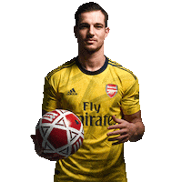 Premier League Football Sticker by Empower Sports