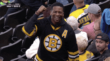 Ice Hockey Sport GIF by NHL