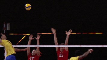 Lets Go Wow GIF by Volleyball World