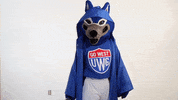 universityofwestgeorgia wolfie gowest uwg maythe4th GIF
