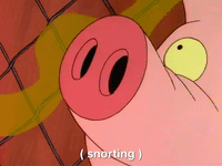 heyarnold nicksplat hey arnold GIF