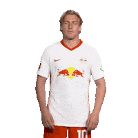 Posing Line Up Sticker by Bundesliga