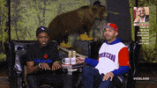 computer blogging GIF by Desus & Mero