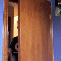 GIF by Brittlestar