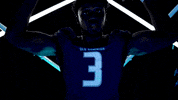 Old Dominion Sport GIF by ODU Football