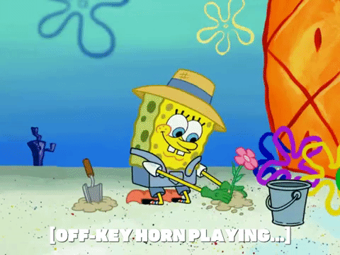 season 6 episode 3 GIF by SpongeBob SquarePants