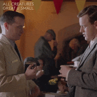 allcreaturestv friends animals beer cheers GIF