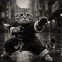 Martial Arts Fighting GIF