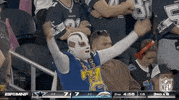 National Football League GIF by NFL