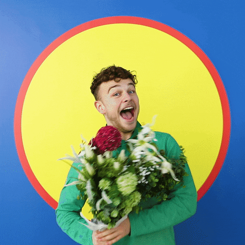 lidlwebcare GIF by Lidl