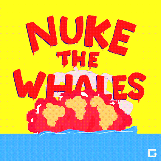 Japan Whales GIF by gifnews