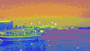 qatar low-poly GIF by Kelly Xi