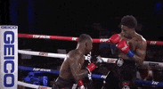 toprank fight boxing fighting espn GIF