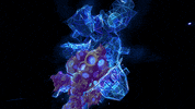 reinbijlsma trippy space abstract alien GIF