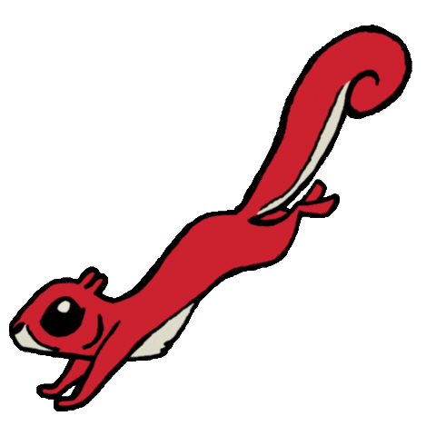 Squirrel Sticker by Bradley University