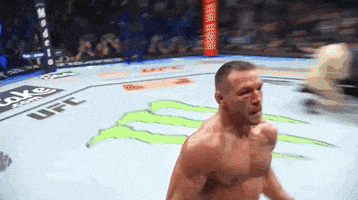 Mixed Martial Arts Fighting GIF by UFC