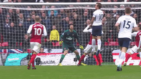 london football GIF by Tottenham Hotspur