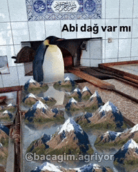 Penguen GIF