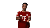 Fc Bayern Applause Sticker by Bundesliga