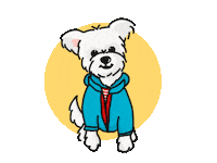 Maxi Sticker