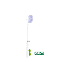 Teeth Brush Sticker by GUM España