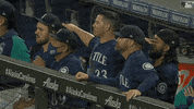 Major League Baseball Sport GIF by MLB