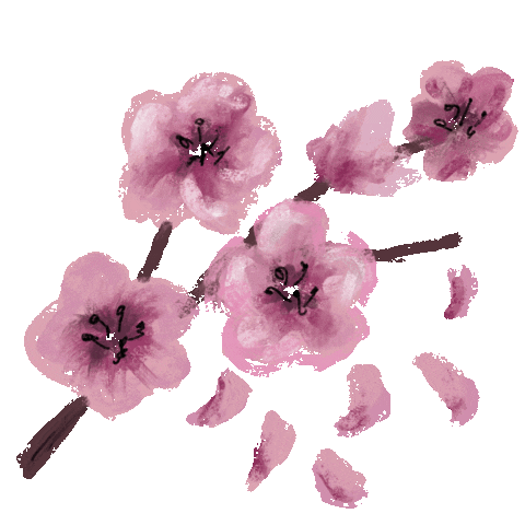 Cherry Blossom Flower Sticker by Xiwikj