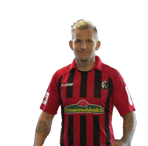 sc freiburg celebration Sticker by SCF